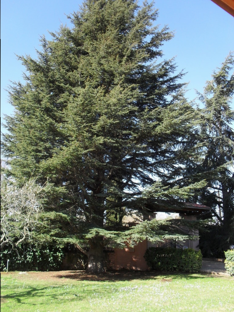 SDC15313