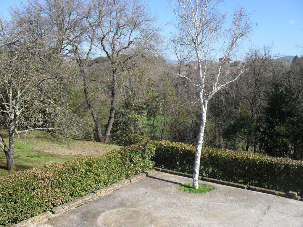 SDC15314