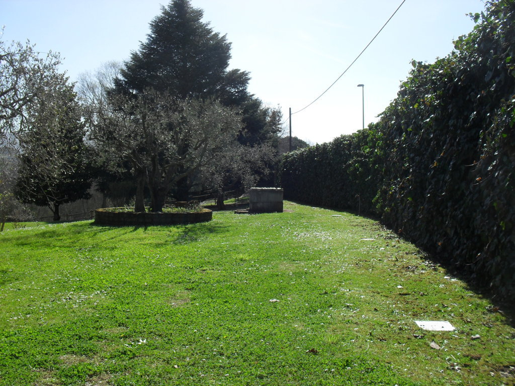 SDC15323