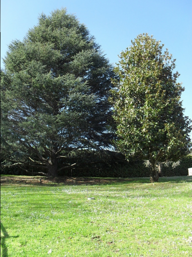 SDC15330