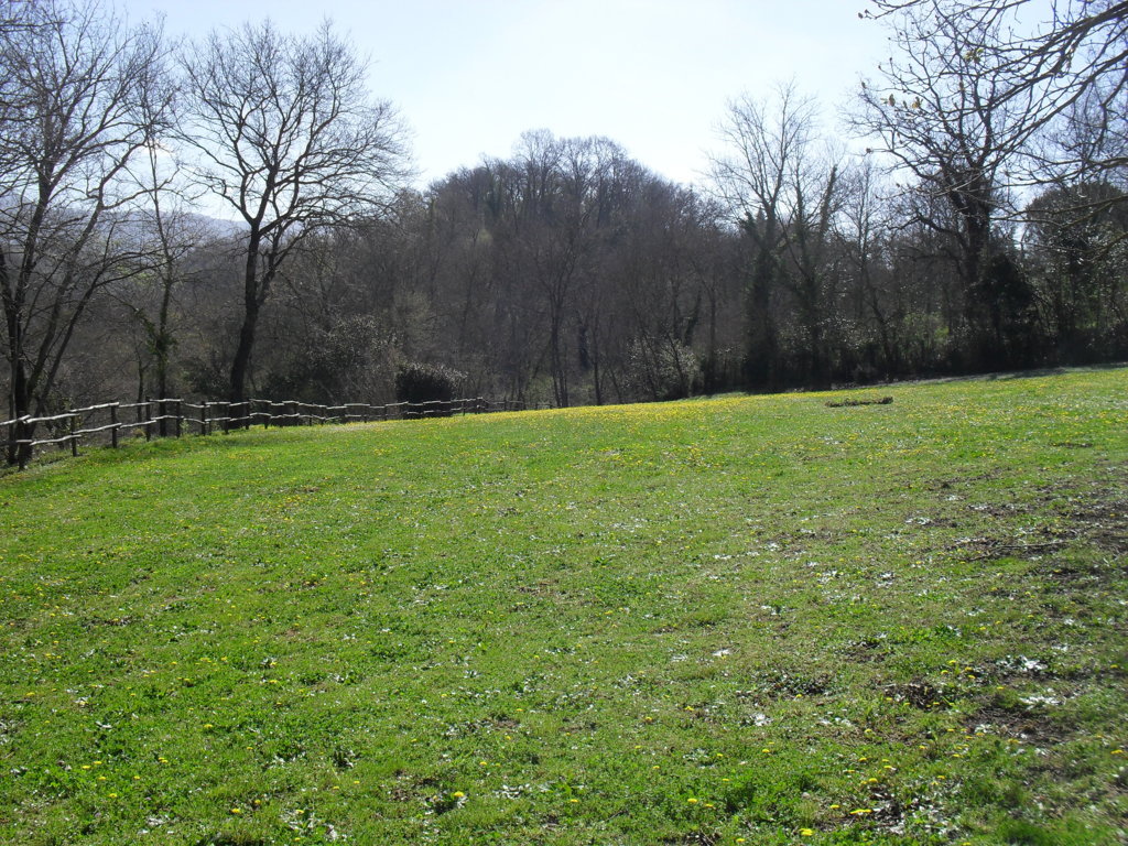 SDC15333