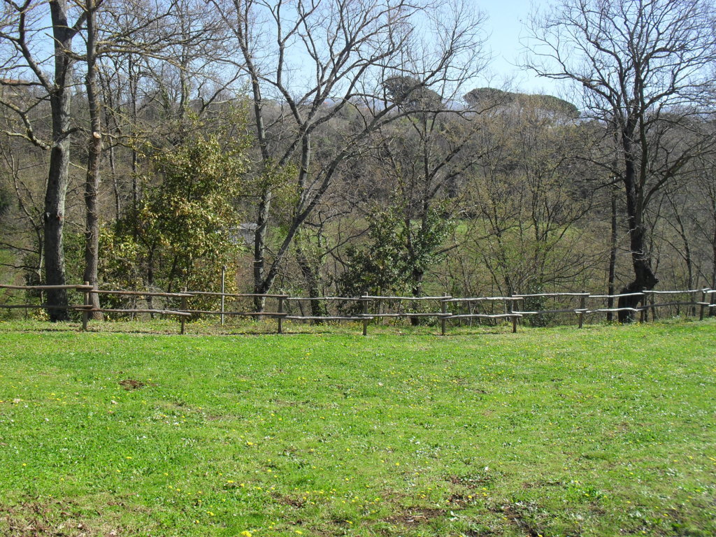 SDC15337
