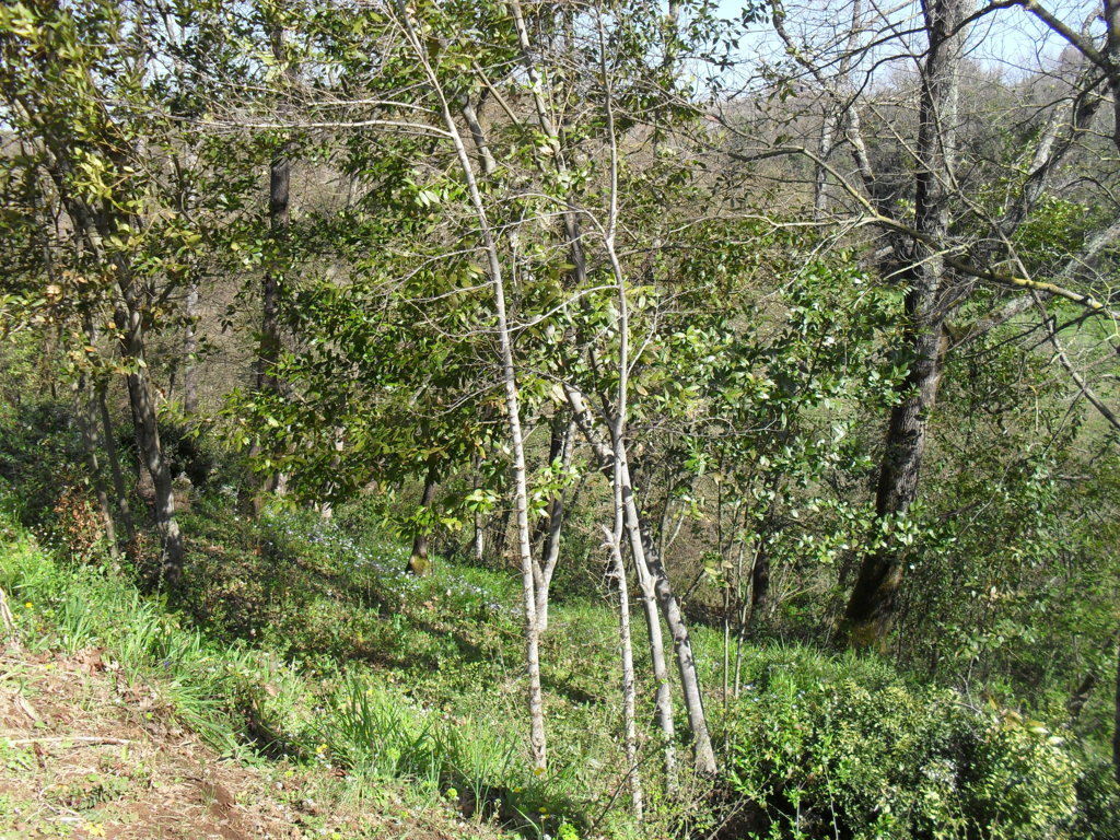 SDC15338