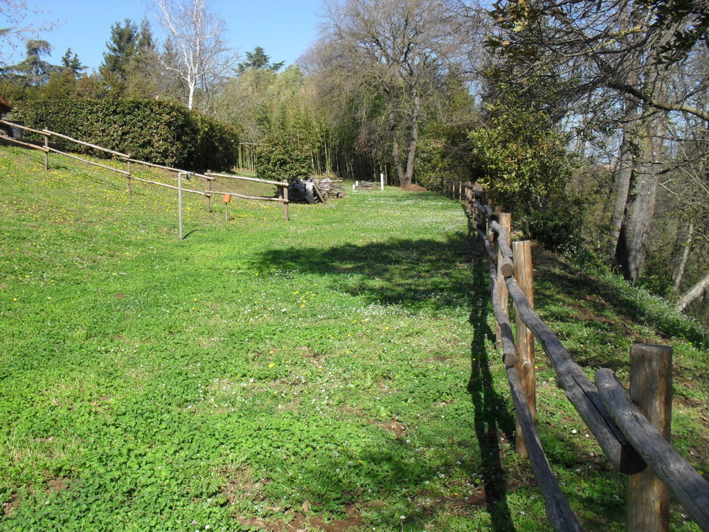 SDC15344
