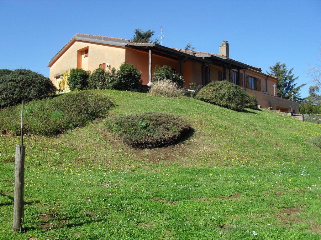 SDC15346