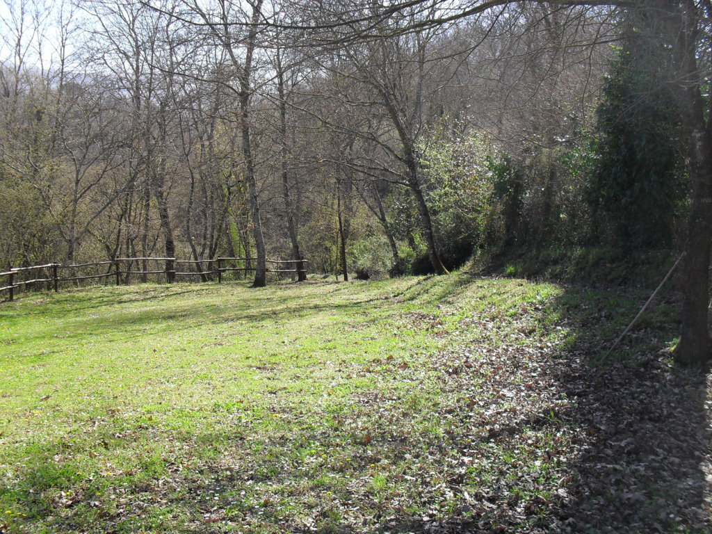 SDC15353