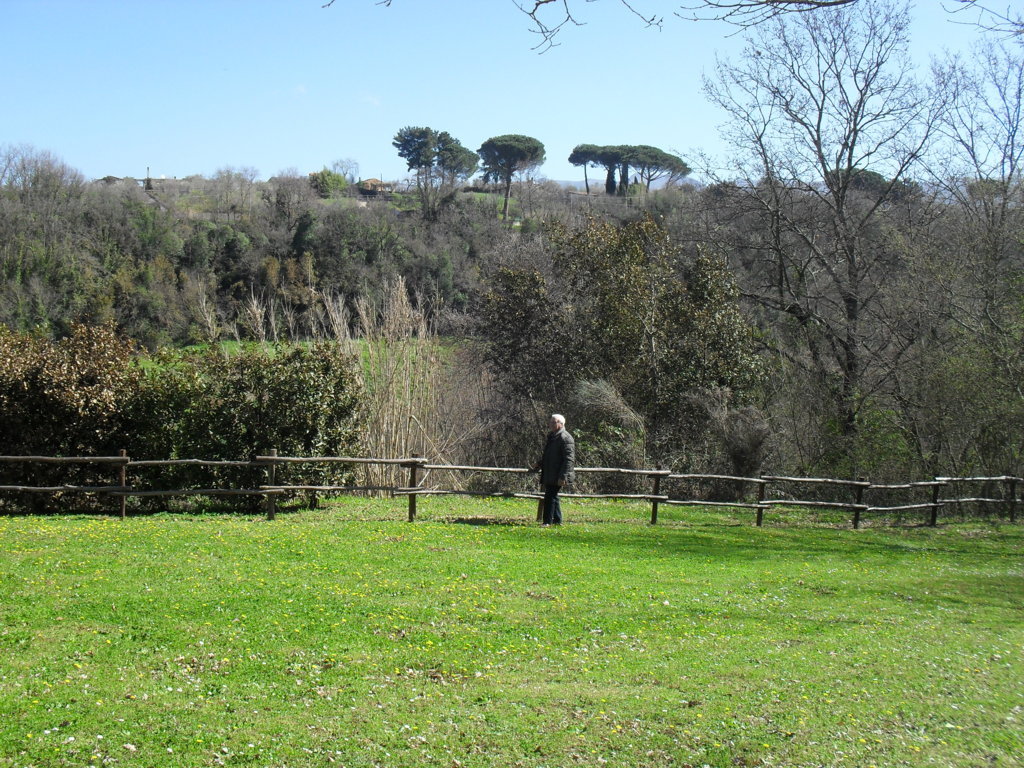 SDC15356