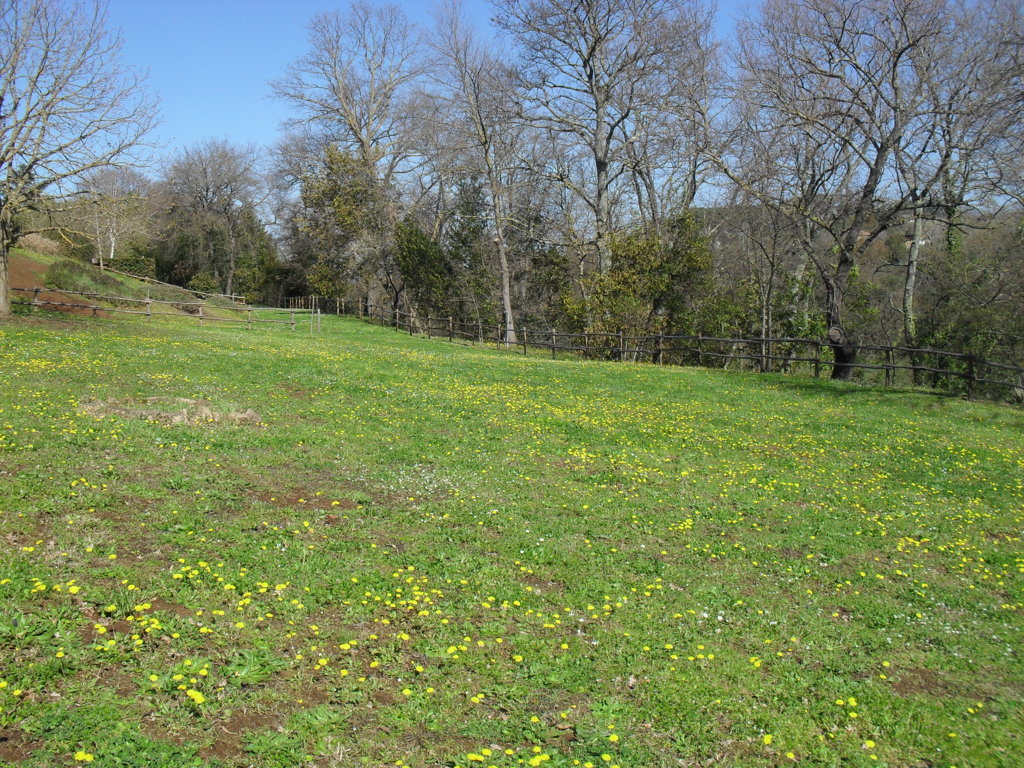 SDC15360