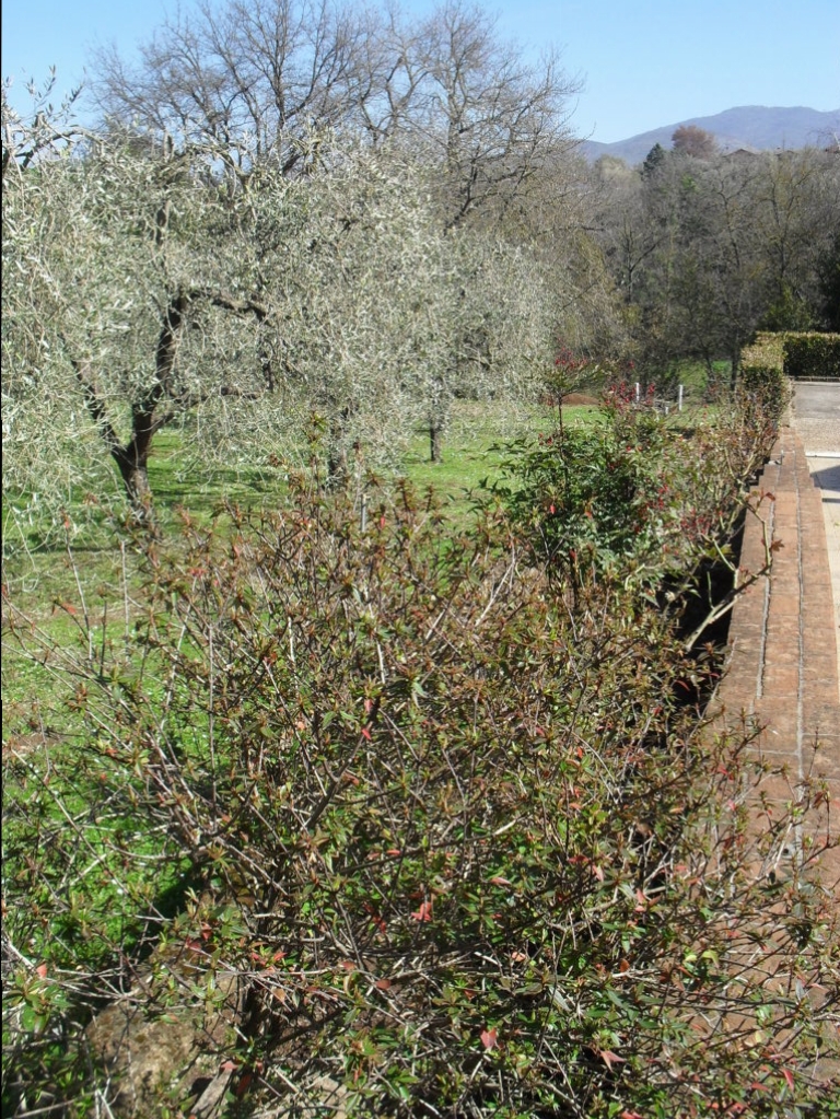 SDC15370