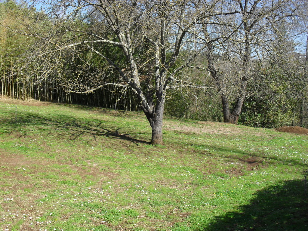 SDC15374