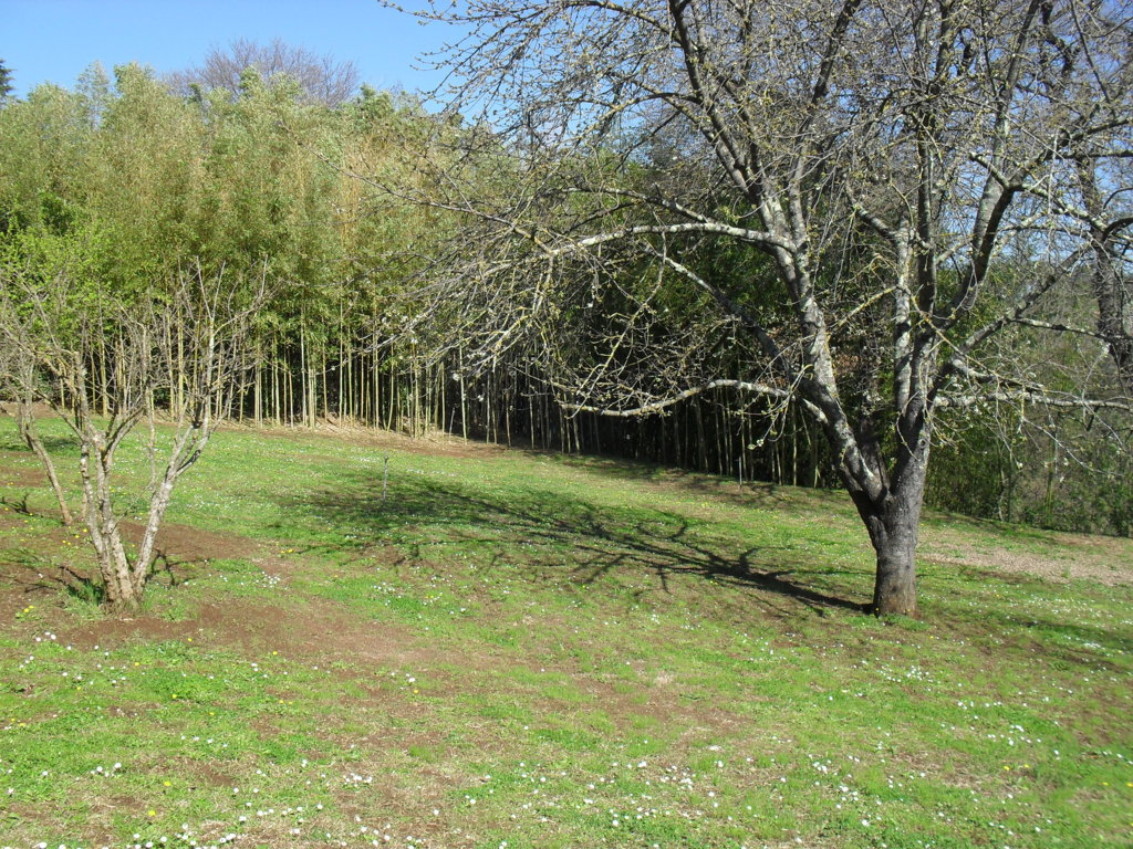 SDC15375