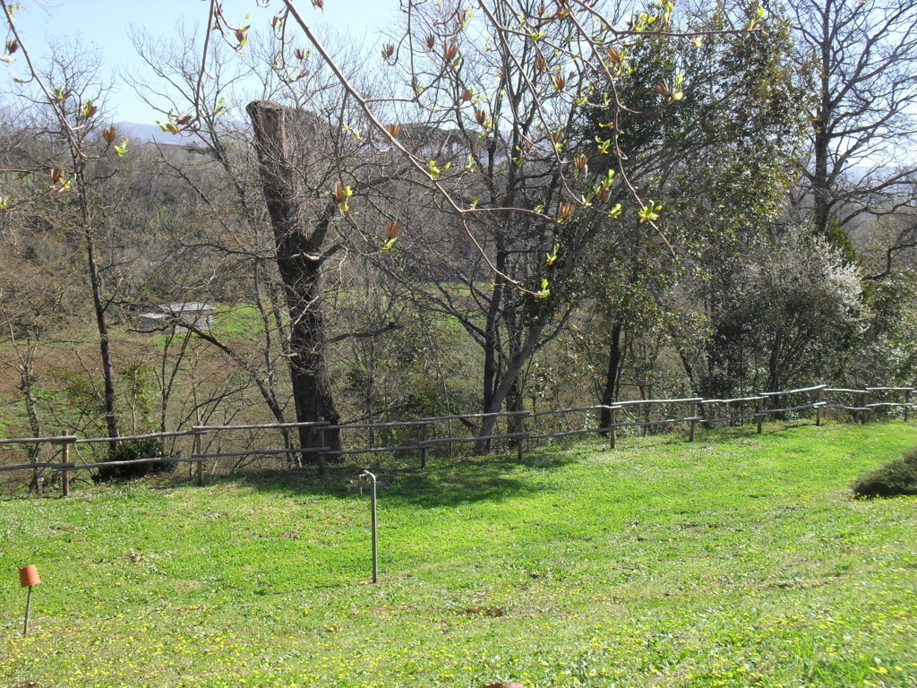 SDC15378
