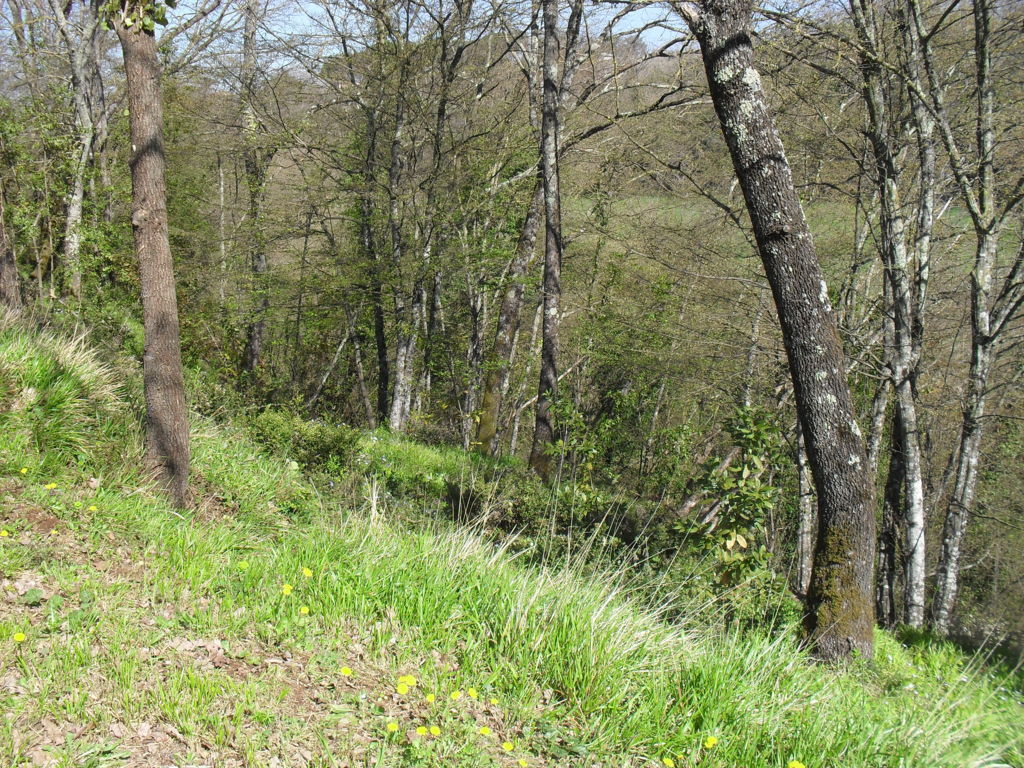 SDC15393