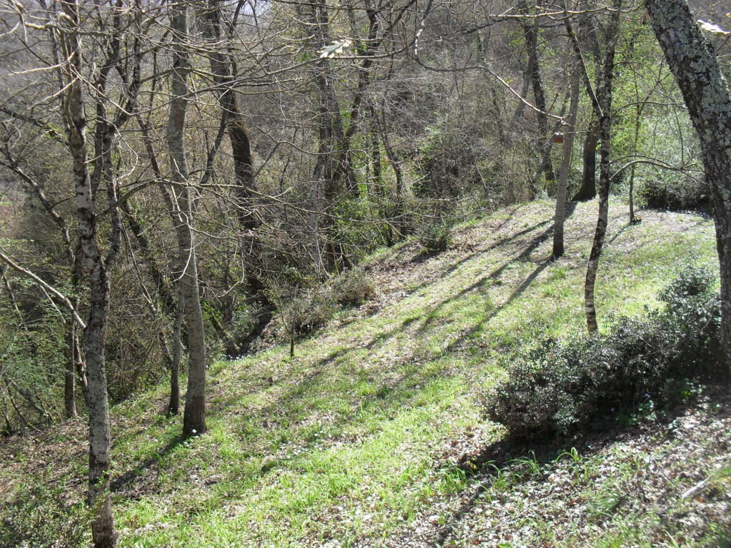 SDC15395