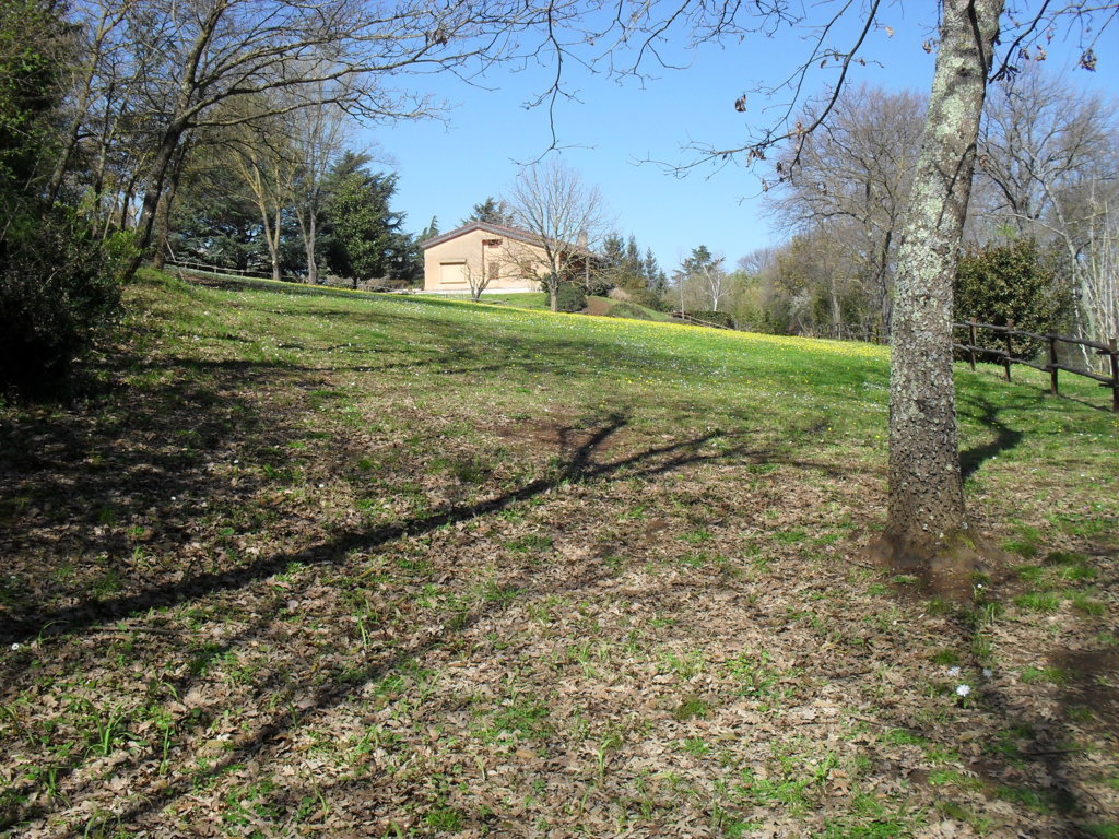 SDC15397