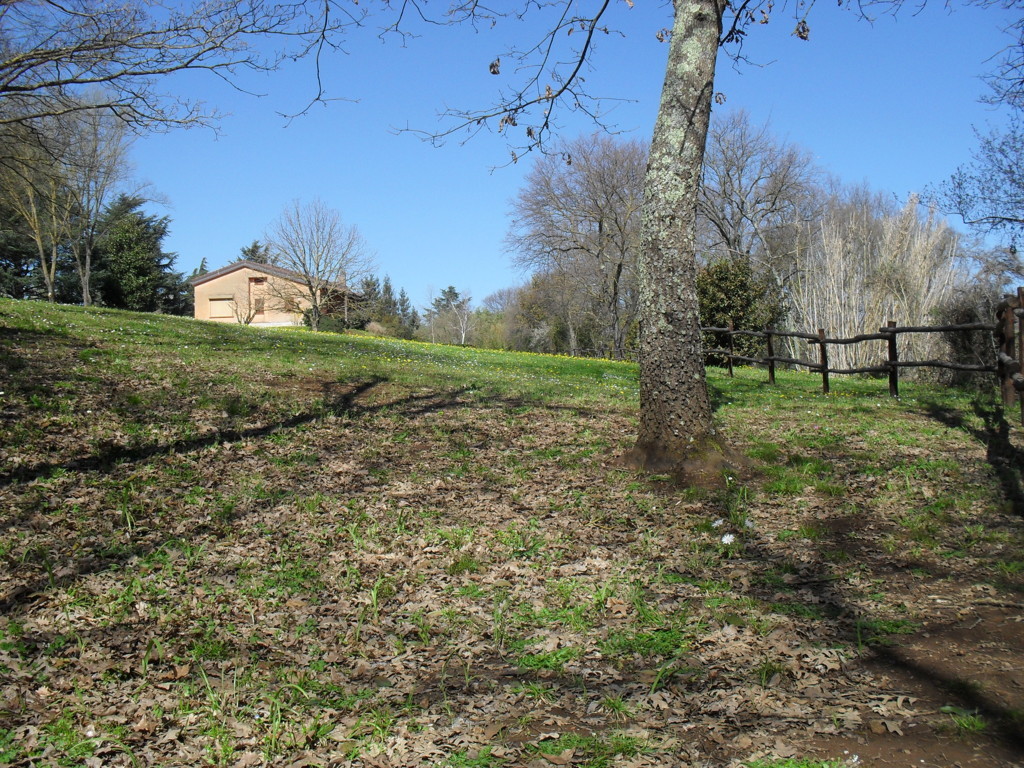 SDC15399