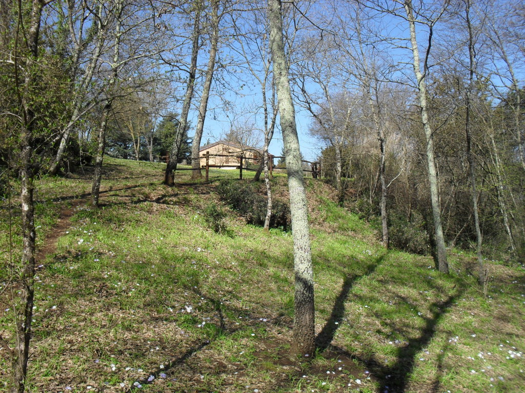 SDC15401