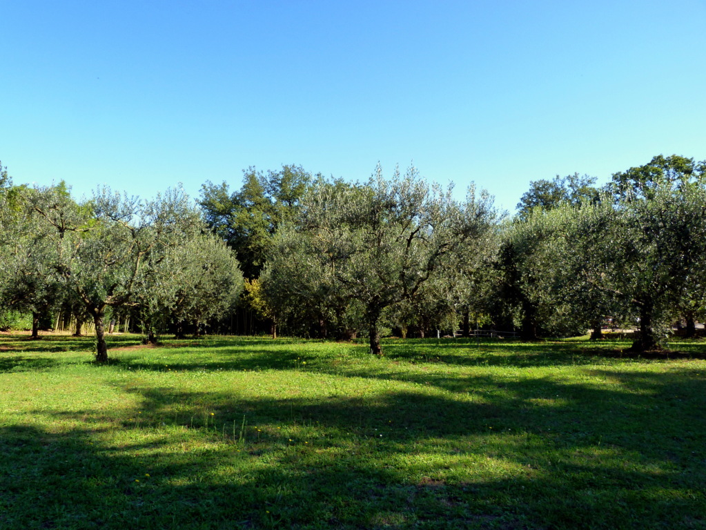 P1080639_2