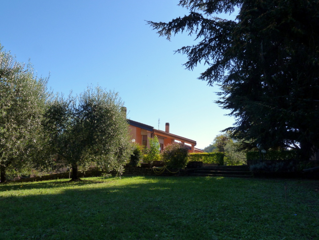 P1080641_3